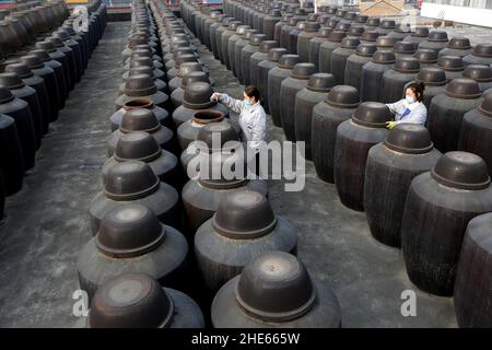 LIANYUNGANG, CHINA - 9. JANUAR 2022 - Arbeiter überprüfen den getrockneten Essig in einer Essigfabrik in Lianyungang, der ostchinesischen Provinz Jiangsu, 9. Januar Stockfoto