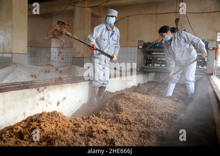 LIANYUNGANG, CHINA - 9. JANUAR 2022 - Arbeiter verarbeiten Essig in einer Essigfabrik in der Stadt Lianyungang, Provinz Jiangsu, Ostchina, 9. Januar 2022. Stockfoto