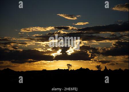 Sonnenuntergang im Köcher Tree Forest Namibia Stockfoto