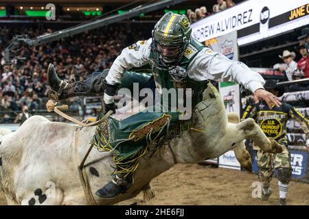 Andrew Alvidrez aus Seminole, Texas, reitet während des 2nd-tägigen PBR Unleash the Beast im Madison Square Garden einen Stier. Es handelt sich um eine jährliche Veranstaltung, die 2021 aufgrund der COVID-19-Pandemie abgesagt wurde und in diesem Jahr mit dem COVID-Protokoll zurückgegeben wurde. (Foto von Lev Radin/Pacific Press) Stockfoto