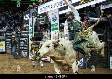 Andrew Alvidrez aus Seminole, Texas, reitet während des 2nd-tägigen PBR Unleash the Beast im Madison Square Garden einen Stier. Es handelt sich um eine jährliche Veranstaltung, die 2021 aufgrund der COVID-19-Pandemie abgesagt wurde und in diesem Jahr mit dem COVID-Protokoll zurückgegeben wurde. (Foto von Lev Radin/Pacific Press) Stockfoto