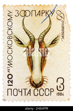 In der UdSSR gedruckte Briefmarke zeigt eine Gazelle Stockfoto