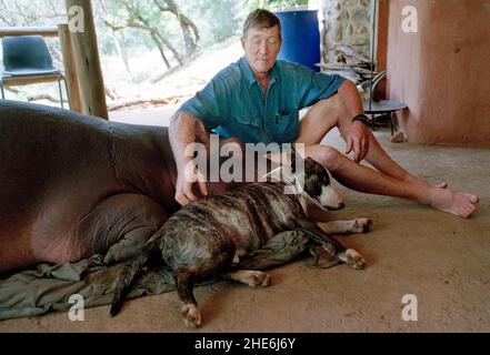 JESS THE HIPPO DAS EINZIGE ZAHME HIPPO DER WELT, DAS VON TONY UND ELSA JOUBERT AUFGEZOGEN WURDE, NACHDEM SIE AUFGRUND VON ÜBERSCHWEMMUNGEN VERLASSEN AM FLUSSRAND GEFUNDEN WURDE. SÜDAFRIKA. DAS BILD ZEIGT JESS BEI EINEM NACHMITTAGSNAP MIT TONY'S HUND BONZO. BILD: GARY ROBERTS Stockfoto