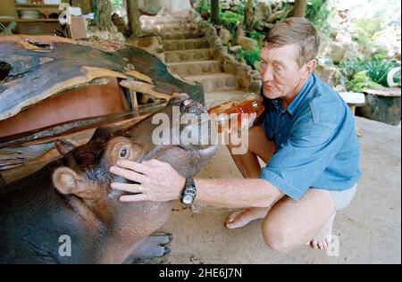 JESS THE HIPPO DAS EINZIGE ZAHME HIPPO DER WELT, DAS VON TONY UND ELSA JOUBERT AUFGEZOGEN WURDE, NACHDEM SIE AUFGRUND VON ÜBERSCHWEMMUNGEN VERLASSEN AM FLUSSRAND GEFUNDEN WURDE. SÜDAFRIKA. DAS BILD ZEIGT, WIE TONY JESS IHREN MORGENKAFFEE AUF SEINER VERANDA IN DER BAR GAB. BILD: GARY ROBERTS Stockfoto