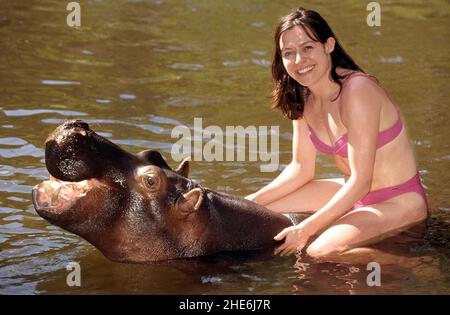 JESS THE HIPPO DAS EINZIGE ZAHME HIPPO DER WELT, DAS VON TONY UND ELSA JOUBERT AUFGEZOGEN WURDE, NACHDEM SIE AUFGRUND VON ÜBERSCHWEMMUNGEN VERLASSEN AM FLUSSRAND GEFUNDEN WURDE. SÜDAFRIKA. BILD: GARY ROBERTS Stockfoto