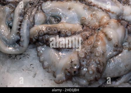 Octopus in offener Seemarket, Napoli Stockfoto