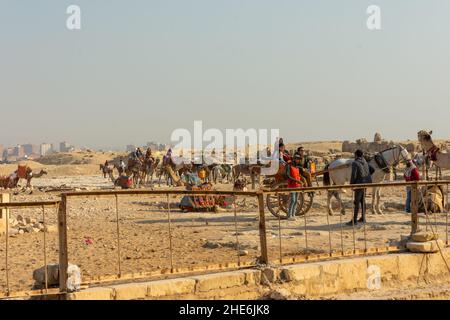 Kamele und Pferde wandern Touristen in der Nähe der Pyramiden in Gizeh, Kairo, Ägypten Stockfoto