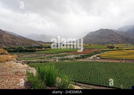 Das Hex-Flusstal bei De Doorns in der Provinz Westkap in Südafrika. Stockfoto