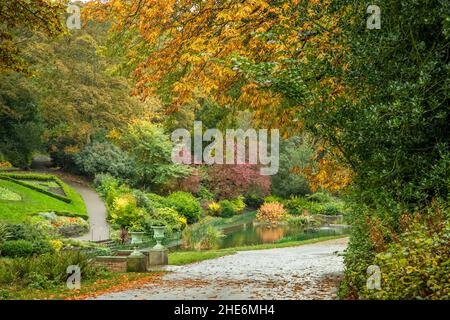 Bäume mit ihren Blättern in voller Herbstfarbe, mit orangefarbenen, roten, braunen, roten und gelben Blättern Stockfoto
