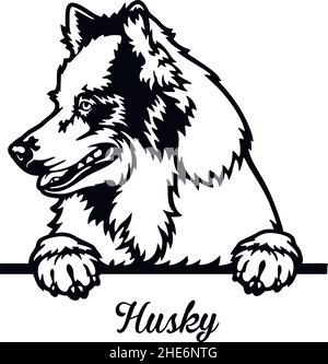 Husky Peeking Dog - Kopf isoliert auf weißem - Vektor Lager Stock Vektor