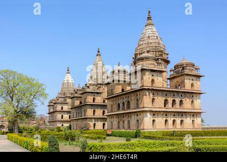 Royal Chhatris (chattris, cenotaphs) am Ufer des Betwa Flusses, Orchha (oder Urchha), Tikamgarh Bezirk, Madhya Pradesh, Indien, Südasien Stockfoto
