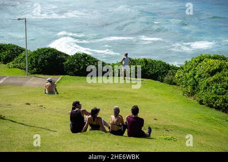 Menschen, die auf dem Gras sitzen und die Landschaft des Strandes Farol da Barra in Salvador, Bahia, Brasilien, genießen. Stockfoto