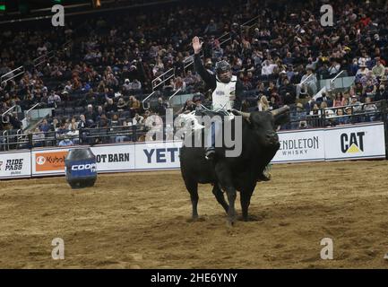 New York, Usa. 08th Januar 2022. Bull Rider Boudreaux Campbell tritt am 2022 PBR Unleash the Beast Event Championship Day an, der am 8. Januar 2022 im Madison Square Garden in NY, NY, stattfindet. (Foto von Udo Salters/Sipa USA) Quelle: SIPA USA/Alamy Live News Stockfoto