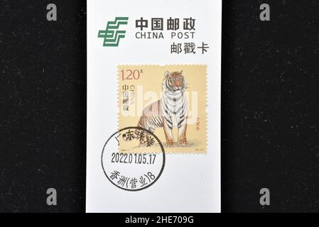 CHINA - UM 2022: Eine in China gedruckte Marke zeigt das Ren Yin Jahr (Jahr des Tigers). Um 2022. Stockfoto