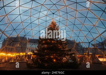 Weihnachtsbäume im Stadtzentrum von Brügge in der Abenddämmerung Stockfoto