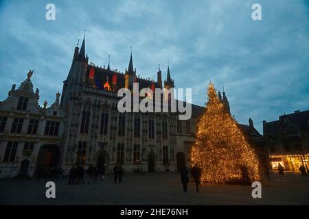 Weihnachtsbäume im Stadtzentrum von Brügge in der Abenddämmerung Stockfoto