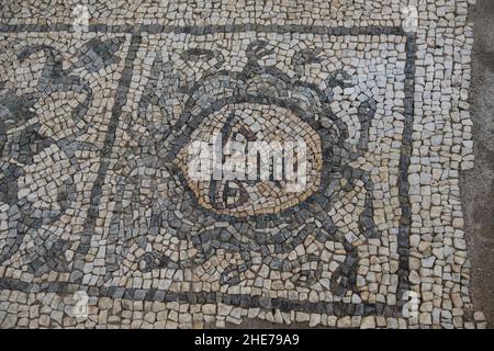 Antica città romana di Luni, un mosaico Stockfoto