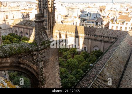 Sevilla, Spanien. Luftaufnahme des Patio de los Naranjos (Innenhof der Orangenbäume) vom Dach der Kathedrale Stockfoto