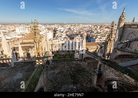 Sevilla, Spanien. Luftaufnahme des Patio de los Naranjos (Innenhof der Orangenbäume) vom Dach der Kathedrale Stockfoto