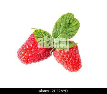 Raspberri-Beere mit isolierten Blättern auf weißem Hintergrund. Reife rote Himbeeren Früchte aus der Nähe. Sammlung. Stockfoto