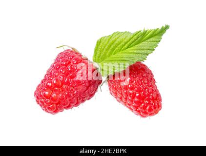 Raspberri-Beere mit isolierten Blättern auf weißem Hintergrund. Reife rote Himbeeren Früchte aus der Nähe. Sammlung. Stockfoto