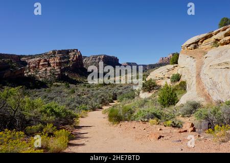 Wandern auf dem Devils Kitchen Trail im Colorado National Monument Stockfoto