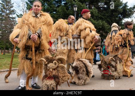 Kukeri-Tänzer mit komplizierten Kostümen, großen Glocken und Masken tanzen beim traditionellen jährlichen Festival in Sofia, Bulgarien. Kukeri ist eine jahrhundertealte Tradition, die böse Geister vertreiben und gute einladen soll, die um den frühen Winter oder die Wintermitte abgehalten wird. Stockfoto