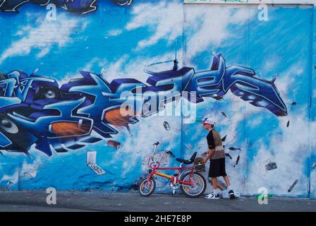 Graffiti, CD-Kaserne, Hall of Fame in Celle, Junge mit Mountain-Bike und Skateboard, Niedersachsen, Deutschland, Europa | Graffiti, CD-Kaserne in Cel Stockfoto