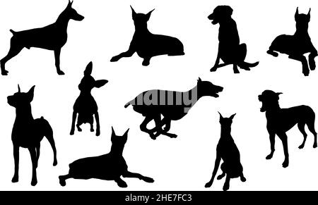 dobermann pinscher Hund Silhouette Bundle svg Stock Vektor