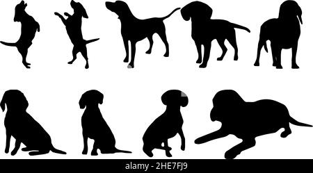 american Foxhound Dog Silhouette Bundle svg Stock Vektor