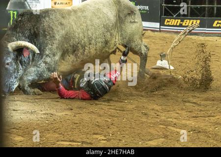 NEW YORK, NY - JANUAR 07: Silvano Alves reitet Codigo während der Professional Bull Riders 2022 Entfesseln Sie das Beast-Event am Madison Square Garden am Januar Stockfoto