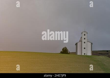 Kathedrale des Acker- oder Getreideflohens Silo von Pedro Martinez, Granada - Spanien Stockfoto