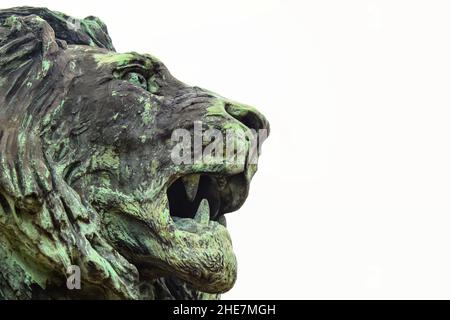 Seitenansicht der Statue des brüllenden Löwen mit Bronzekopf Holkham Hall UK Stockfoto