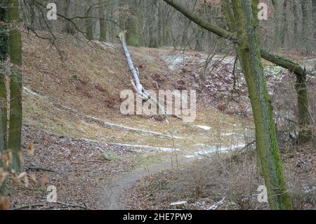 Böttcherberg in Berlin-Wannsee, Deutschland - 9. Januar 2022. Stockfoto