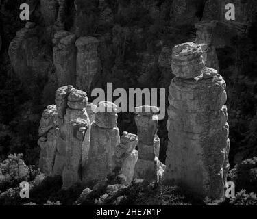 Hoodoos vom Massai Point Nature Trail im Chiricahua National Monument, Arizona. Stockfoto