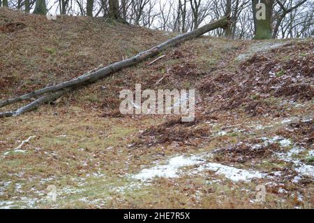 Böttcherberg in Berlin-Wannsee, Deutschland - 9. Januar 2022. Stockfoto