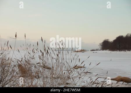 Malerische Herbstlandschaft Seeufer, gelbe Sedge, niedrige Cumuluswolken, Frühherbst Stockfoto