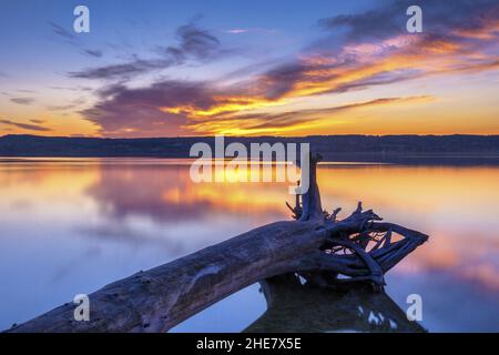 Abendstimmung, Sonnenuntergang am Ammersee, Bayern, Deutschland Stockfoto