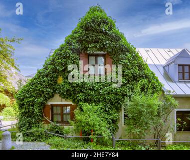 Ueblacker-Häusl, historisches Hostelgebäude, München, Bayern, Deutschland Stockfoto