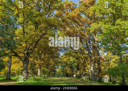 Schacky Park in Diessen am Ammersee, Bayern, Deutschland Stockfoto