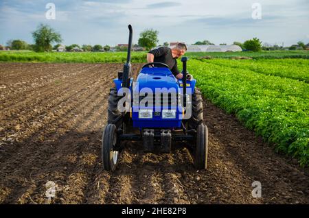 Cherson Oblast, Ukraine - 29. Mai 2021: Landwirt auf einem Traktor arbeitet auf dem Feld. Saisonarbeiter. Fräsen von Erde vor dem Schneiden von Reihen. Rekrutierung von Arbeitnehmern Stockfoto