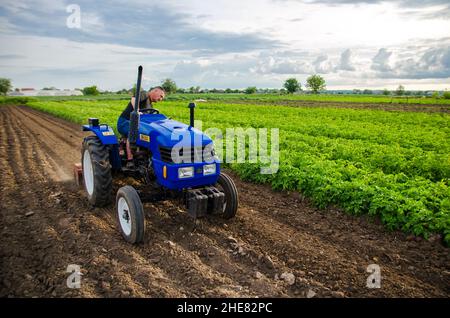 Cherson Oblast, Ukraine - 29. Mai 2021: Seniorbauer arbeitet auf dem Feld auf einem Traktor. Saisonarbeiter. Fräsen von Erde vor dem Schneiden von Reihen. Rekrutierung w Stockfoto