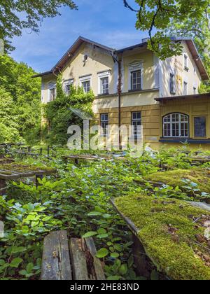 Bewachsener Biergarten, Obermühltal, Bayern, Deutschland Stockfoto