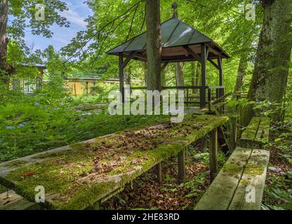 Bewachsener Biergarten, Obermühltal, Bayern, Deutschland Stockfoto