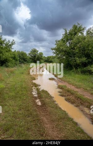 Unbefestigte Straße auf dem Land nach einem Gewitter. Es gibt eine große Pfütze mit Schlammwasser Stockfoto