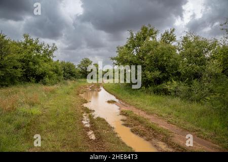 Unbefestigte Straße auf dem Land nach einem Gewitter. Es gibt eine große Pfütze mit Schlammwasser Stockfoto