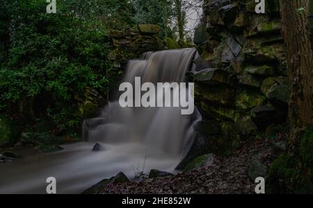 Wasserfall im Abney Hall Park nach starkem Regen - Chorlton Brook, der über einen künstlichen Wasserfall stürzt. Stockfoto