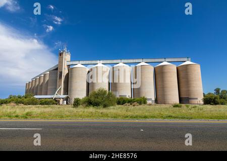 Getreidesilos auf dem Feld mit einer asphaltierten Straße im Vordergrund Stockfoto