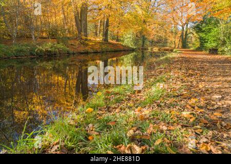 Herbstfarben entlang des Monmouthshire und Brecon Canal, Abergavenny Gwent UK. November 2021. Stockfoto