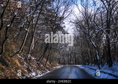 Winter in Serbien: Schnee auf dem Berg Avala, Belgrad Stockfoto